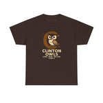 Clinton Owls Hoodie - Vintage Defunct Baseball Teams - Iowa