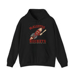 McAlester Rockets Hoodie - Vintage Defunct Baseball Teams - Oklahoma