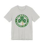 Roseburg Shamrocks Premium Lightweight T-Shirt in silver with the Roseburg Shamrocks logo, a shamrock of baseballs with a bat stem in a green ring on the front