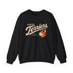 Canton Terriers Crewneck Sweatshirt - Vintage Defunct Baseball Teams - Ohio