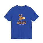 Hannibal Mules T-Shirt (Premium Lightweight) - Vintage Defunct Baseball Teams - Missouri