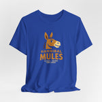 Hannibal Mules T-Shirt (Premium Lightweight) - Vintage Defunct Baseball Teams - Missouri