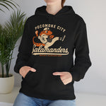 Pocomoke City Salamanders Hoodie - Vintage Defunct Baseball Teams - Maryland
