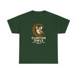 Clinton Owls Hoodie - Vintage Defunct Baseball Teams - Iowa