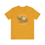 Fort Wayne Chiefs T-Shirt (Premium Lightweight) - Vintage Defunct Baseball Teams - Indiana