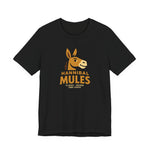 Hannibal Mules T-Shirt (Premium Lightweight) - Vintage Defunct Baseball Teams - Missouri