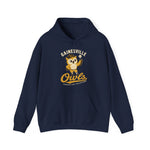 Gainesville Owls Hoodie - Vintage Defunct Baseball Teams - Texas