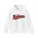 High Desert Mavericks Hoodie - Vintage Defunct Baseball Teams - California