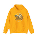 Fort Wayne Chiefs Hoodie - Vintage Defunct Baseball Teams - Indiana
