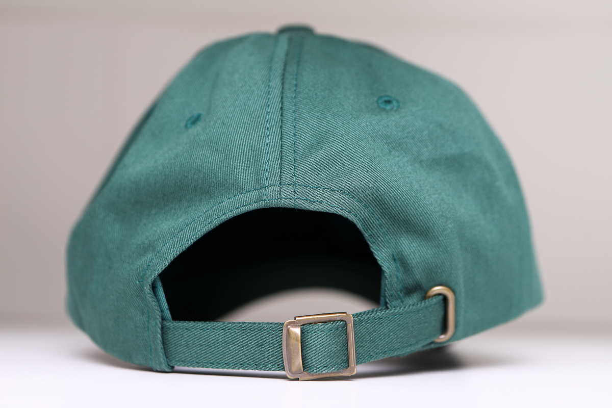 Mobile Baysharks Dad Hat
