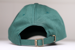 Mobile Baysharks Dad Hat