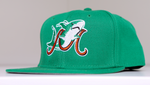 Mobile Baysharks Snapback Hat